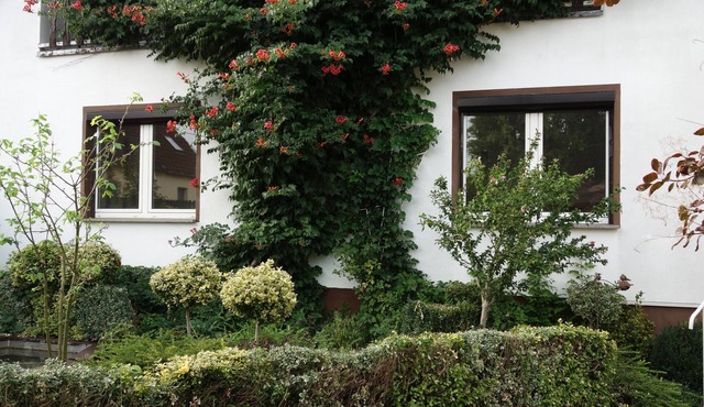 Large apartment in beautiful Havelland on the outskirts of Berlin-Spandau