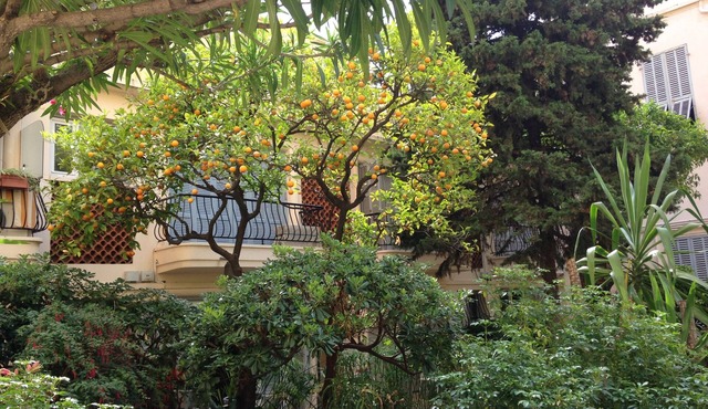 Large apartment Downtown, 2 minutes beach, very quiet garden, mountain views