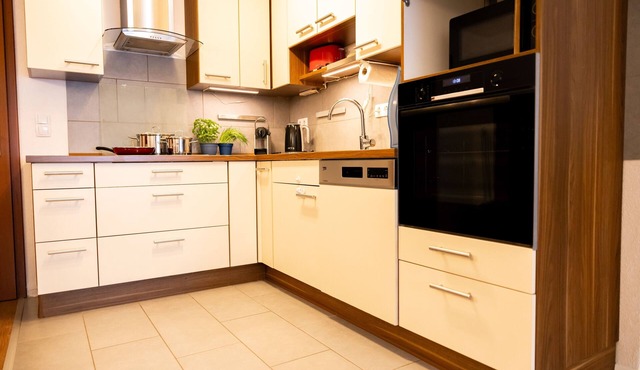 Large, beautiful vacation apartment with small garden in the wine village of Randersacker