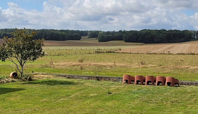 Large capacity gîte in champagne.pets welcome!