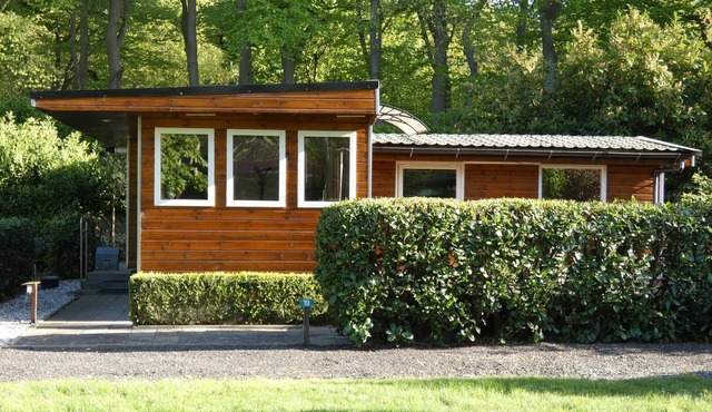 Large chalet for rent in wooded area on border Friesland, Groningen,Drenthe.