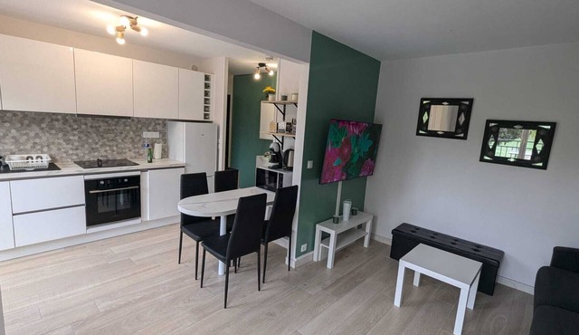 Large, cosy studio, magnificent view over the Marne, fully equipped. Castle center