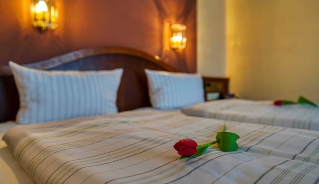Large double room - Reichels Parkhotel