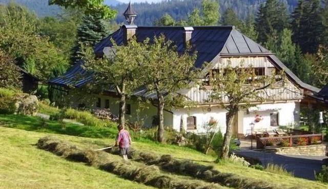 Large flat in Bayerisch Eisenstein
