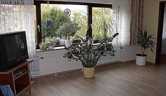 Large holiday flat in Sinbronn with garden