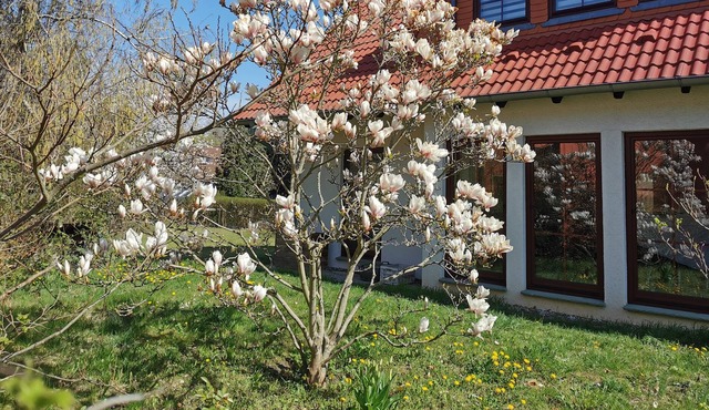 Large house with 5 bedrooms, large garden, S-Bahn connection to Berlin