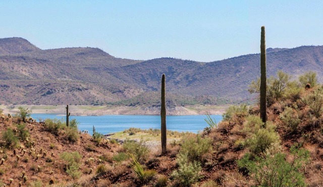 Large Modern & Eclectic Studio in Beautiful Peoria AZ!