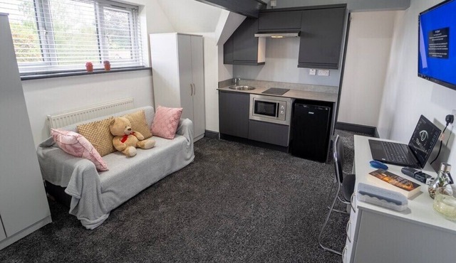 Large modern studio walking distance to QE and UOB