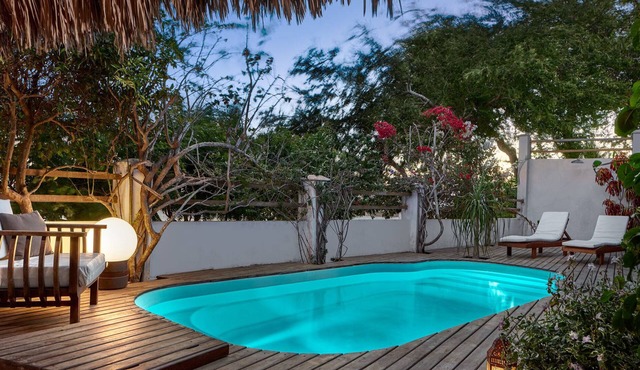 Large modern villa with pool - view Duna do Sol