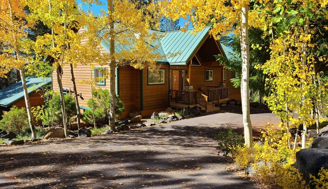 Large Mountain Home Near Crescent, Odell & Crater Lakes. Family Reunion Home!