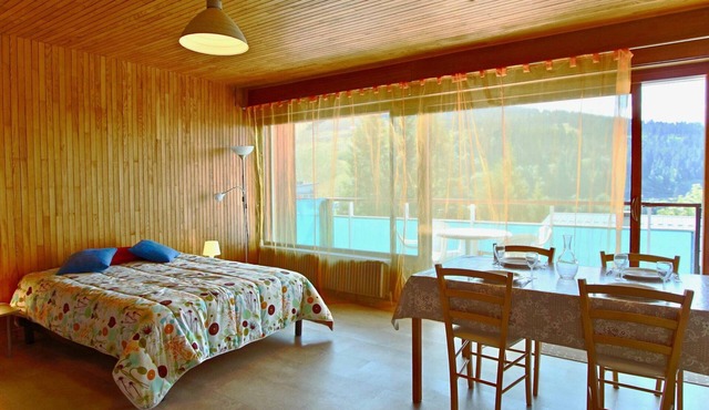 Large renovated studio, 4 people, pets allowed