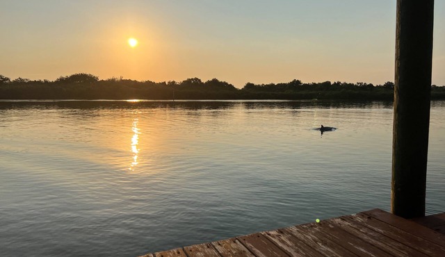 Large, Spacious home on The Intracoastal, Watch Dolphins play and Fish