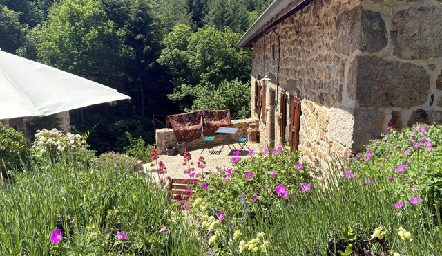 Large stone gite with 2 terraces in the heart of Ardèche Verte