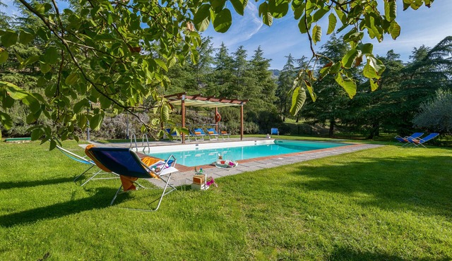 Large stone manor with 8BR and 7BA, extended grounds, large fully-equipped pool.