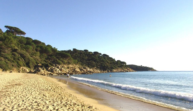 Large Studio appartment Croix Valmer - 2 minutes from Gigaro Beach - Greatk Trek - Near Saint Tropez