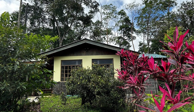 Large Studio in a private farm near Bijagua - Rio Celeste - Tenorio Park