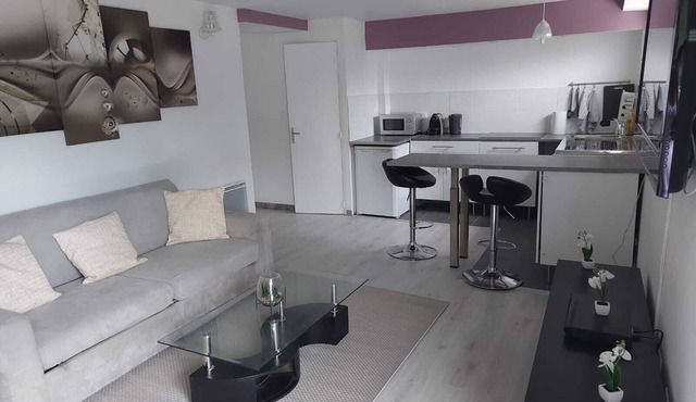 Large Studio of more than 50 m2 rented in full near Paris