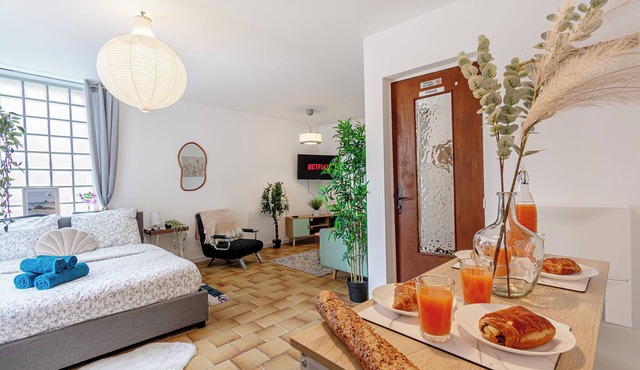 Large studio, well-equipped/CDG airport/Disneland Paris/le Bourget/Villepinte