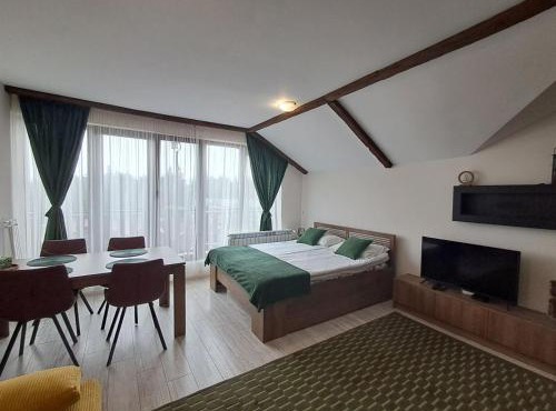 Large studio with view in Borovets Gardens