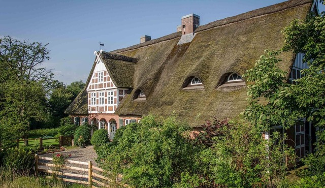Large thatched house with garden and jetty directly on the Oste river