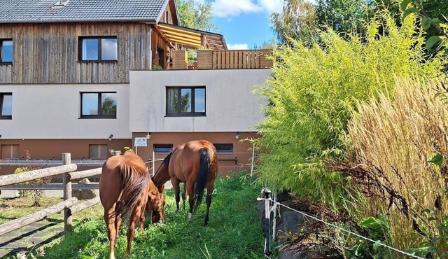 Large vacation apartment in the countryside - Large vacation apartment on a quiet farm in the