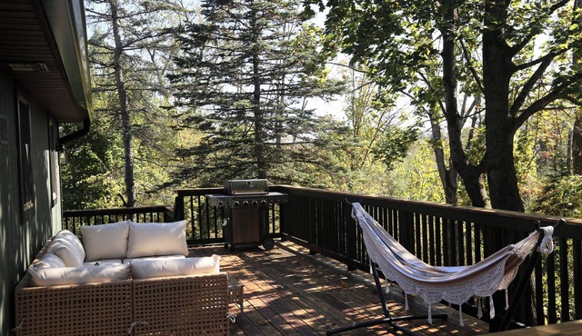 Larkspire I Sleepy Hollow Lake I Beach & Firepit