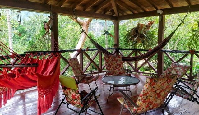 las Gitanas, en Medio de Colores, Paisajes Maravillosos y Animales de Granja