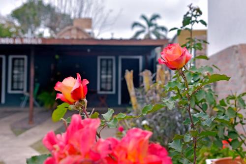 Las Magnolias
