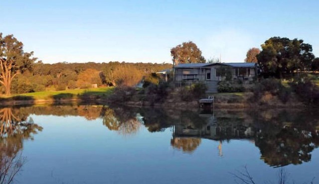 Lavandula cottage