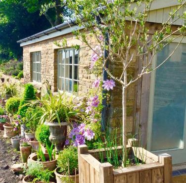 Lavender cottage
