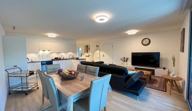 Lavish 4.5 rooms furnished apartment @Glattbrugg