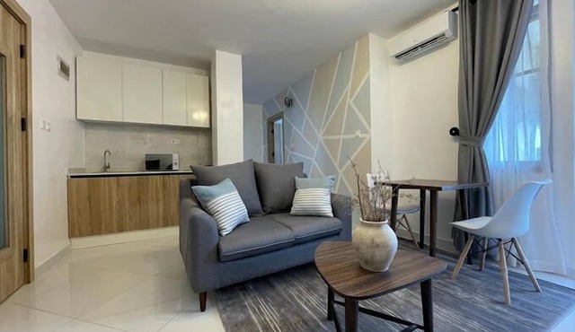 Lavish Apartment
