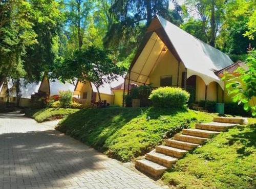 Lawu Forest Camp
