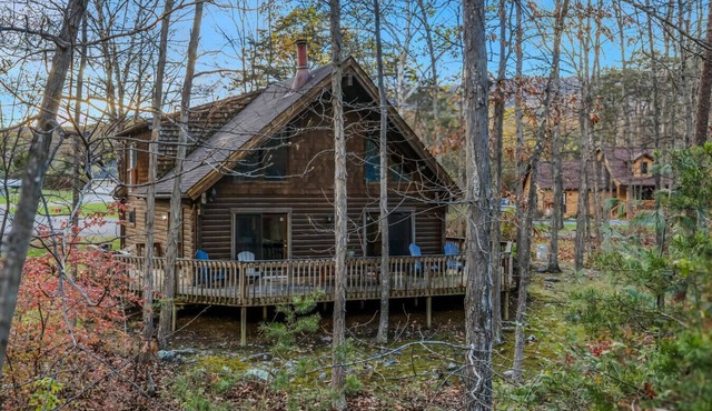 Lazy Bear Retreat - pet friendly, grill, wifi, fire pit, deck, hiking, fireplace