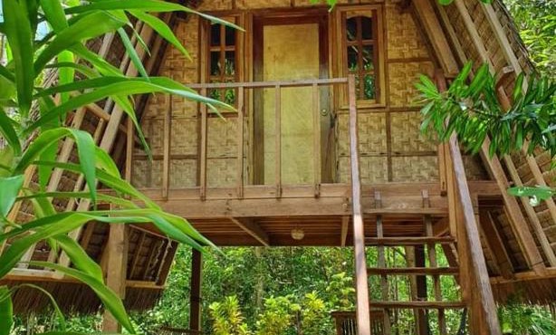 Lazy Lizard Hostel
