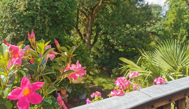 Le Balcon Flaubert