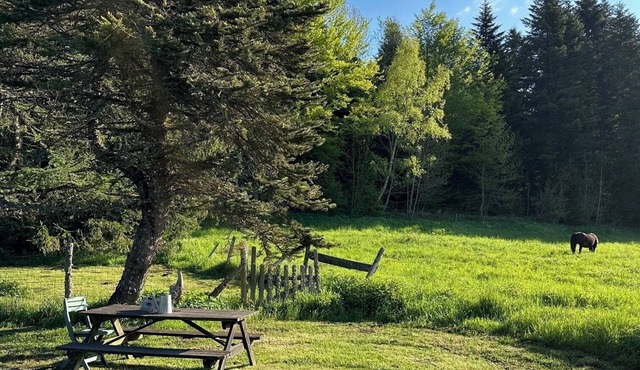 Le cabanon de Léonie, Gîte at the foot of the Puy-de-Dôme in the heart of the Auvergne volcanoes
