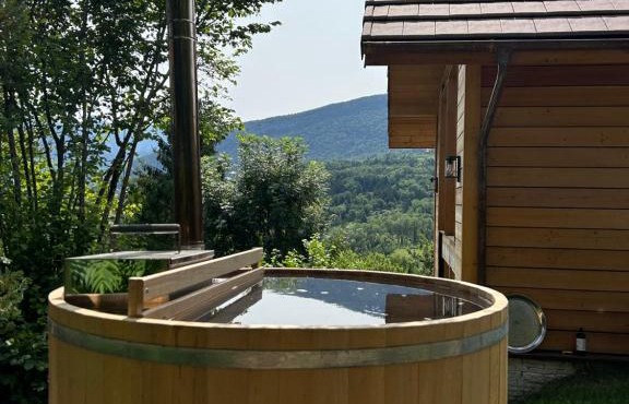 Le Cabanon