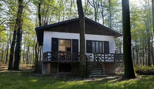 Le case nel bosco