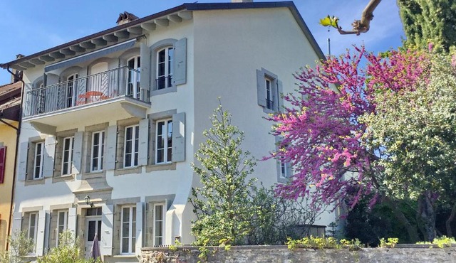 Le Cinquante Quatre