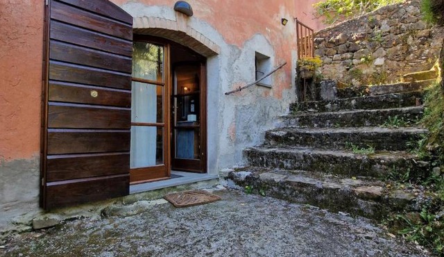 Le Coccinelle