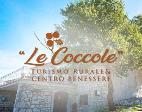 Le Coccole