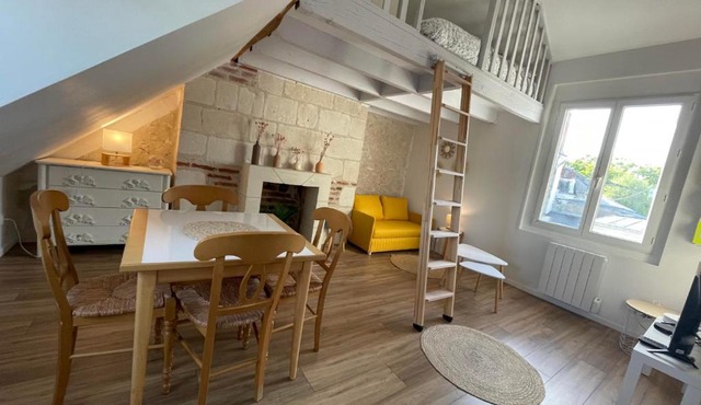 Le Cocon du Rempart Studio de charme avec mezzanine TOURS centre