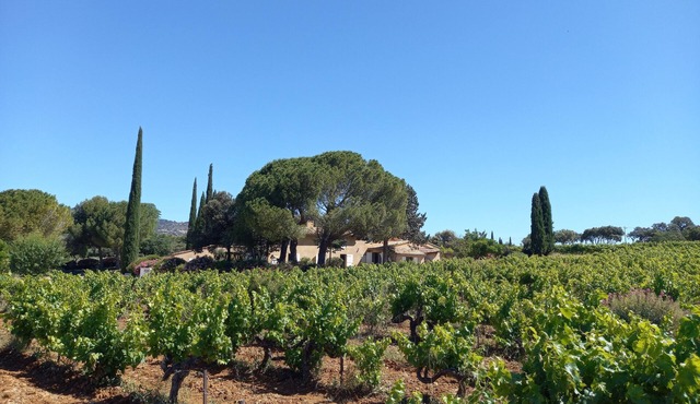Les Lausiers, an exceptional view between Ventoux and Dentelles de Montmirail