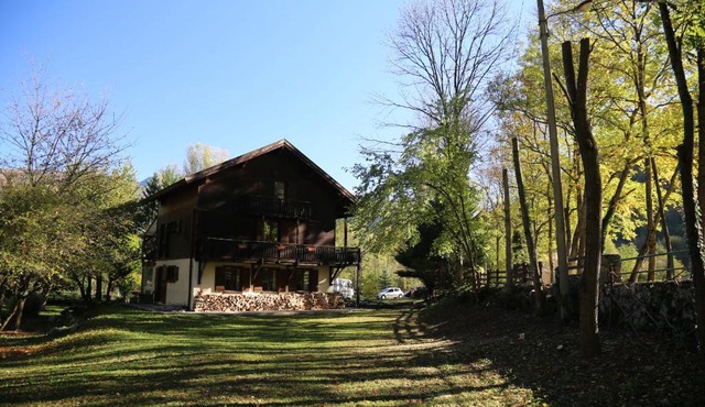 Le Grand Saule