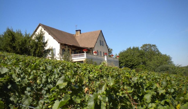 Le Mont Laurent