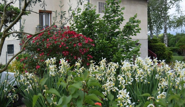 Le Nid de l'Ecureuil