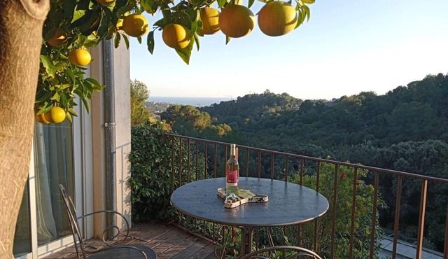 Le Pamplemousse - SAINT-PAUL-DE-VENCE