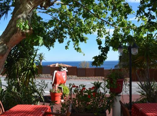 Le Patio