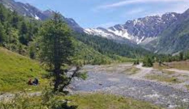 Le Petit Montagnard